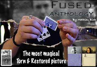 Fused Picture - Trick by Mathieu Bich, un effet de photo déchirée raccomodée incroyable 