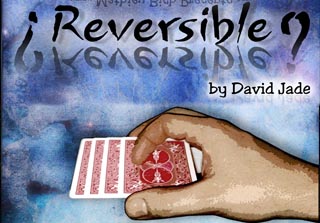 Cover of Mathieu Bich's Reversible, a highly visual transposition easy to perform
