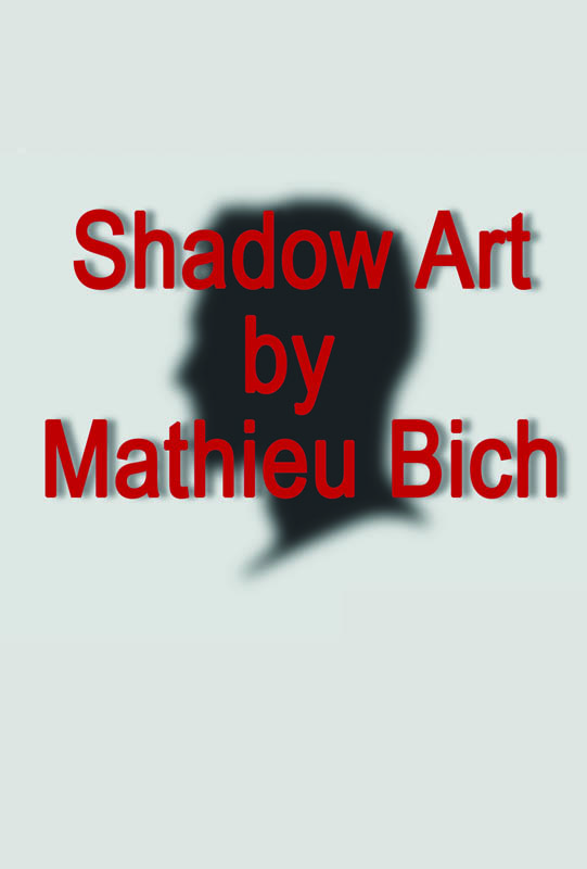 Cover of Shadow Art by Mathieu Bich, transform the shape of a shadow