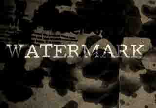 Cover of Mathieu Bich's Watermark, where the sape of a water mark will reveal teh selected card, used by David Blaine on his Abc TV show